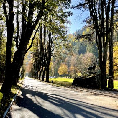 Parc Thermal