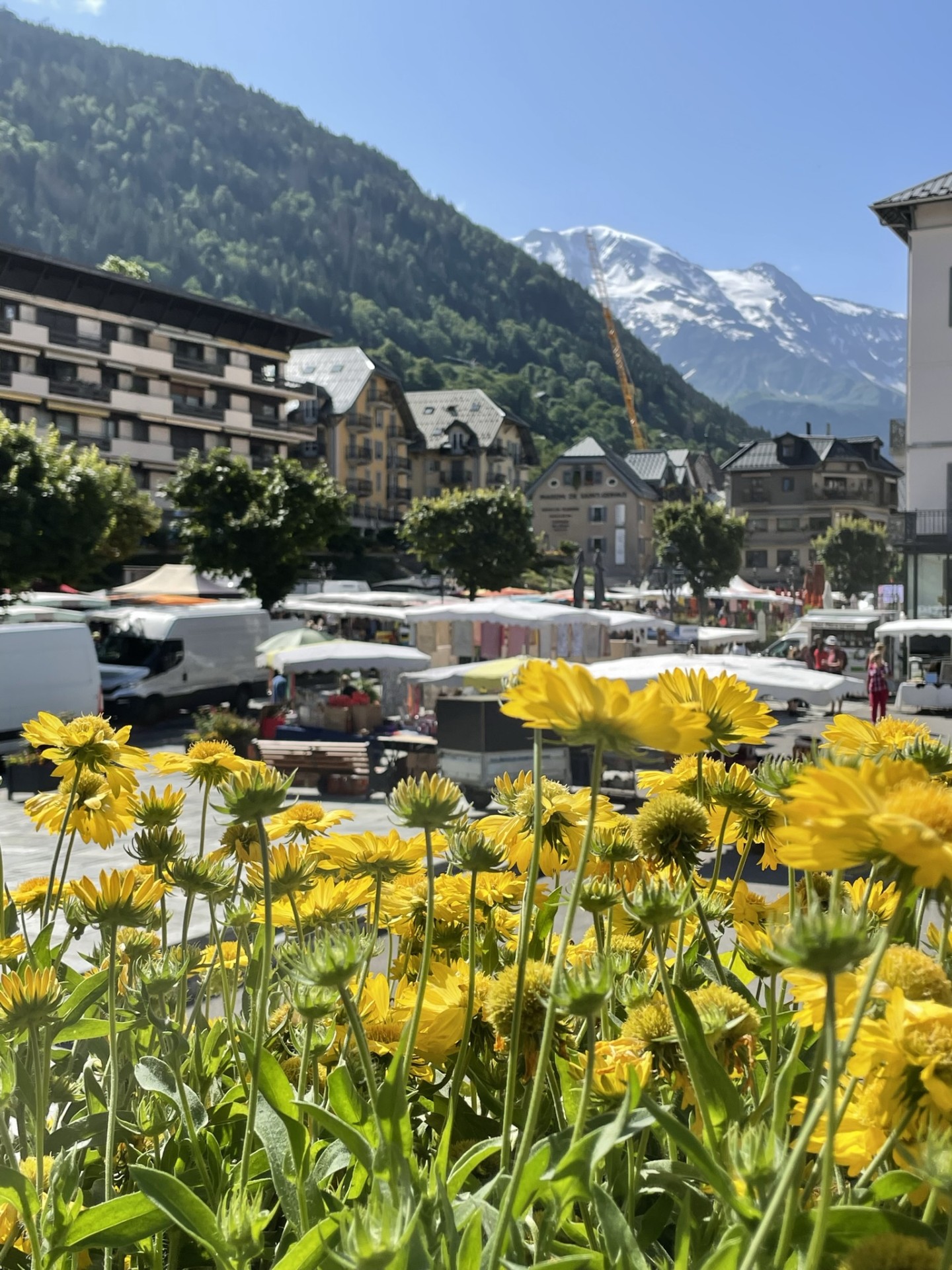 Le marché du jeudi