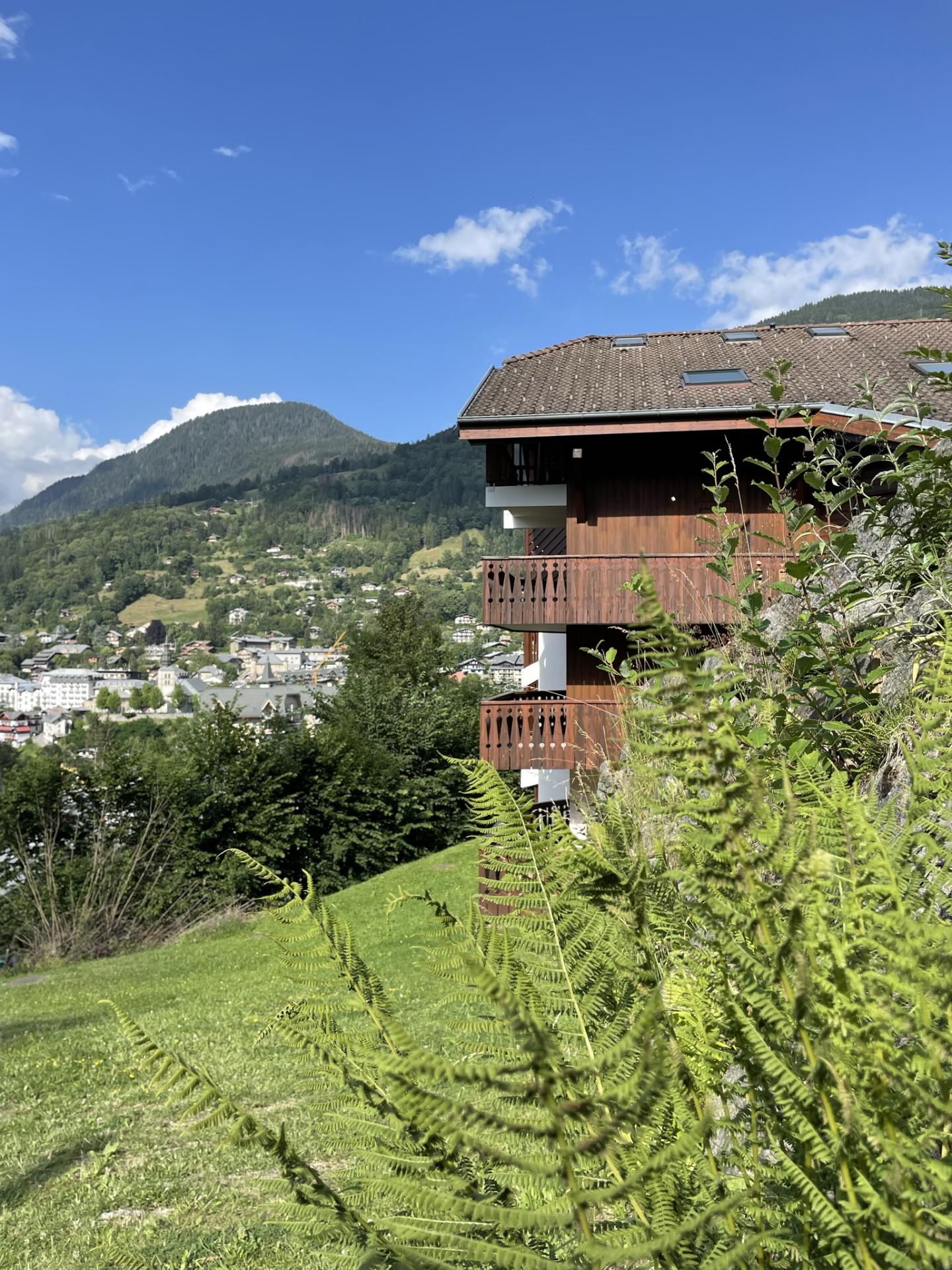 Chalet des pistes ext 3