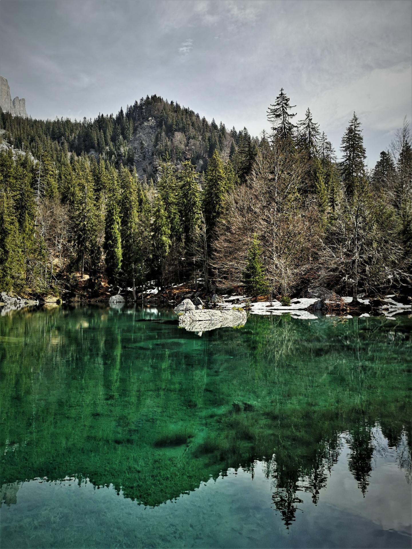 Le lac vert (Passy)