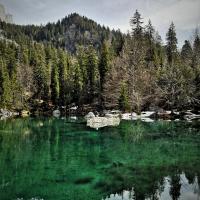 Le lac vert (Passy)