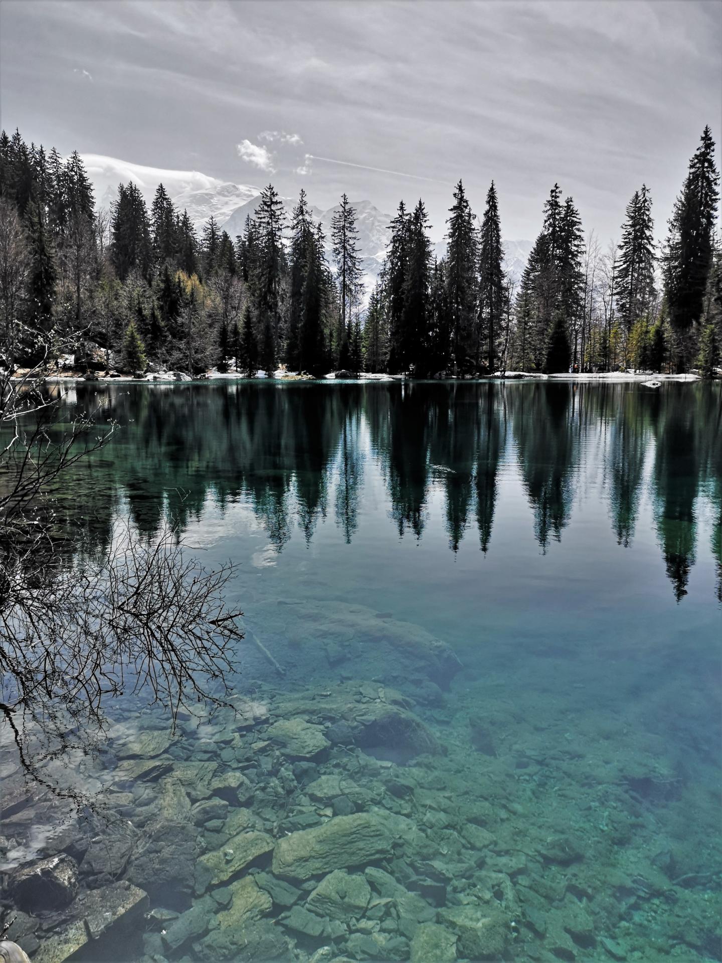 Le lac vert (Passy)